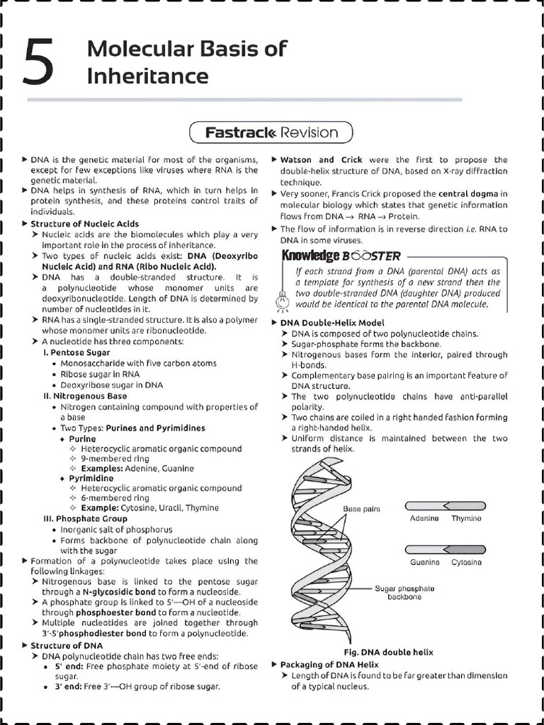 Molecular Basis | PDF