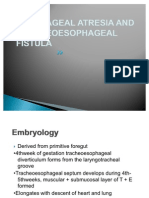 Esophageal Atresia and Tracheoesophageal Fistula