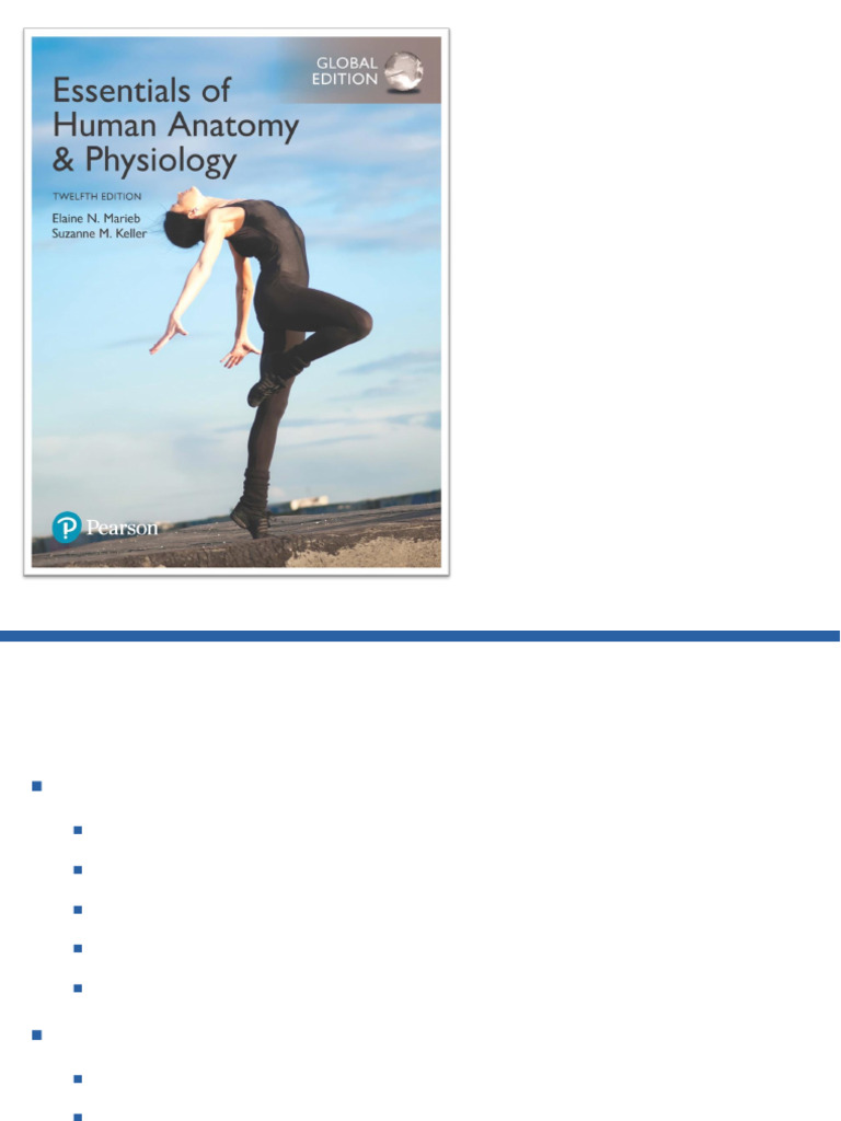 CH 08 Lecture Presentation | PDF | Ear | Taste