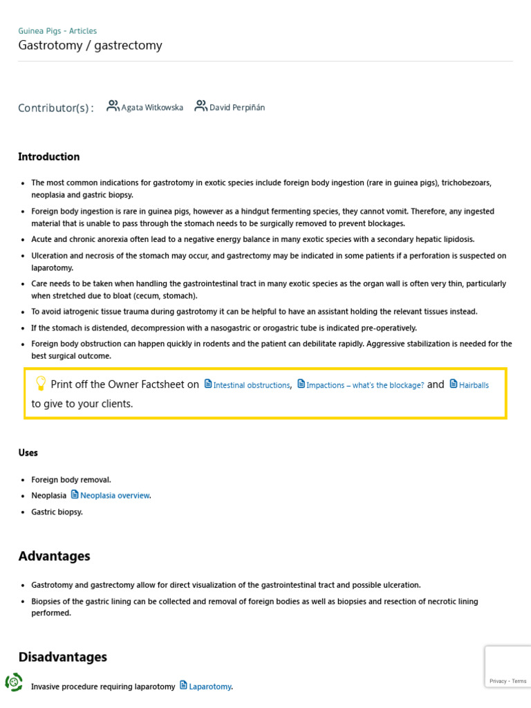 Image showcasing Gastrotomy - Gastrectomy in Guinea Pigs - Vetlexicon | PDF | Surgical ...