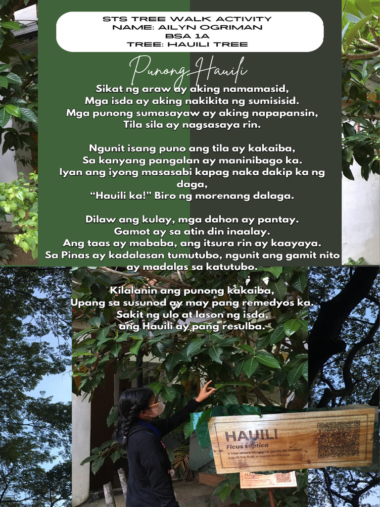 Tree Walk Activity | PDF
