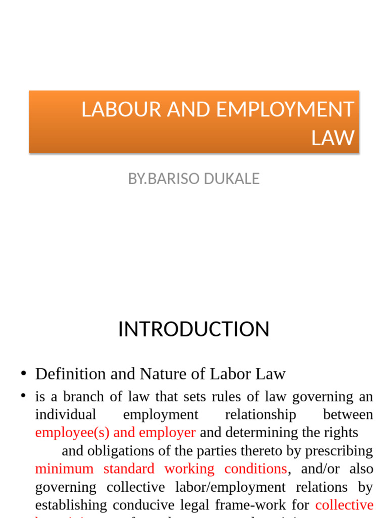 Ethiopian Labor and Employment Law Overview | PDF | Employment | Labour Law