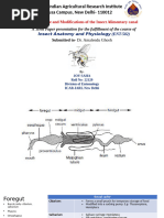 Polygastric vs. Monogastric Digestive Systems | PDF | Digestion | Stomach