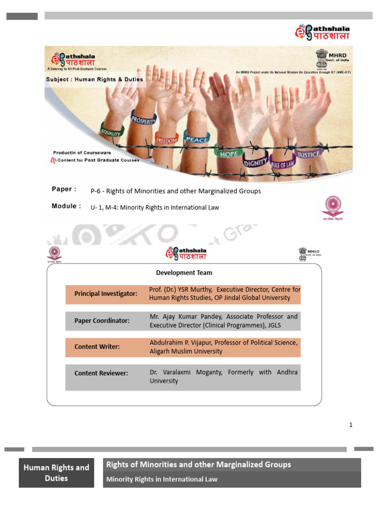 Minority Rights in International Law | PDF | Human Rights | Affirmative ...