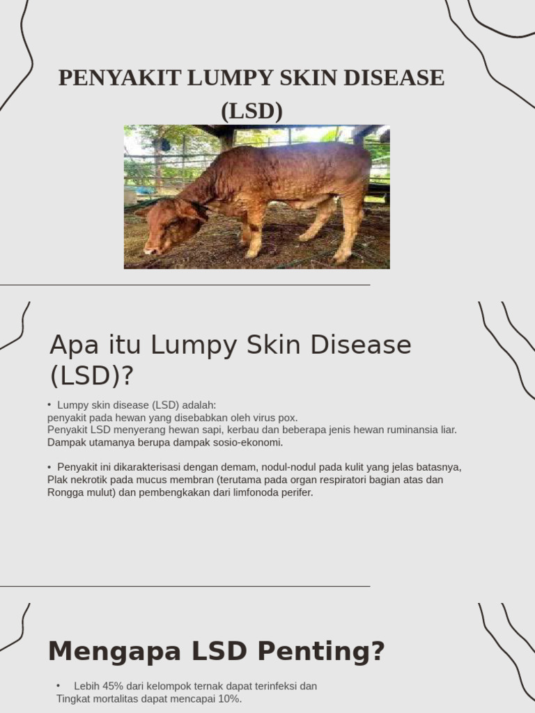 Lumpy Skin Disease: Penyebab, Gejala, dan Pencegahan | PDF