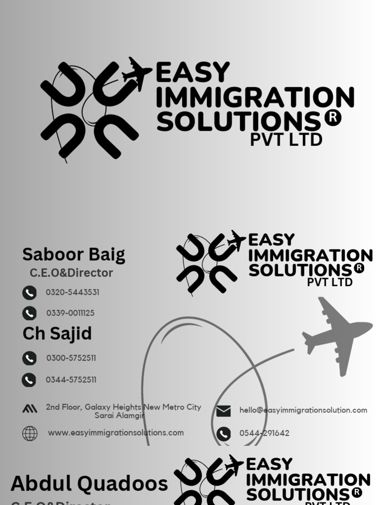 Chief Executive Officer Pdf