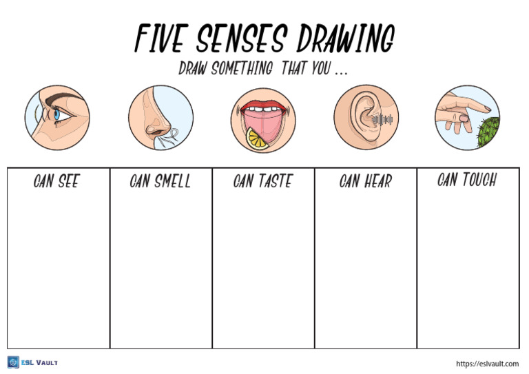 five-senses-drawing-worksheet | PDF
