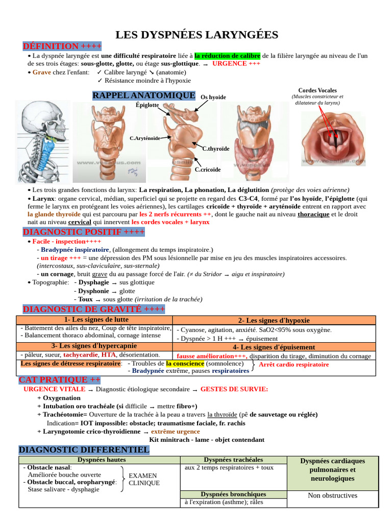 5-les-dyspn-es-laryng-es-pdf-larynx-syst-me-respiratoire