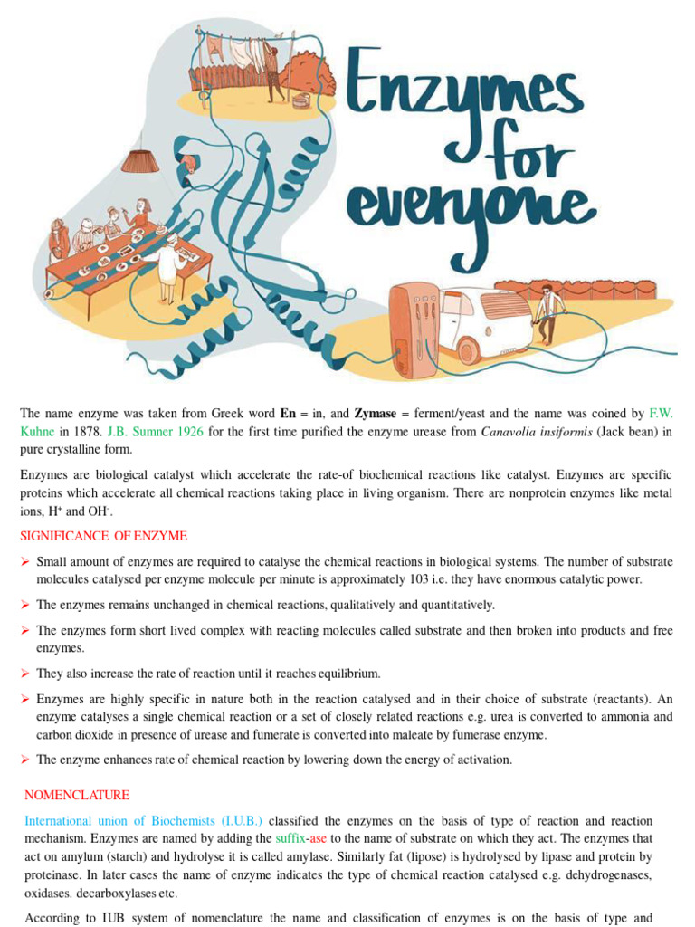 enzyme | PDF | Active Site | Enzyme