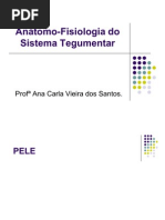 Anatomia Do Sistema Tegumentar - Pele