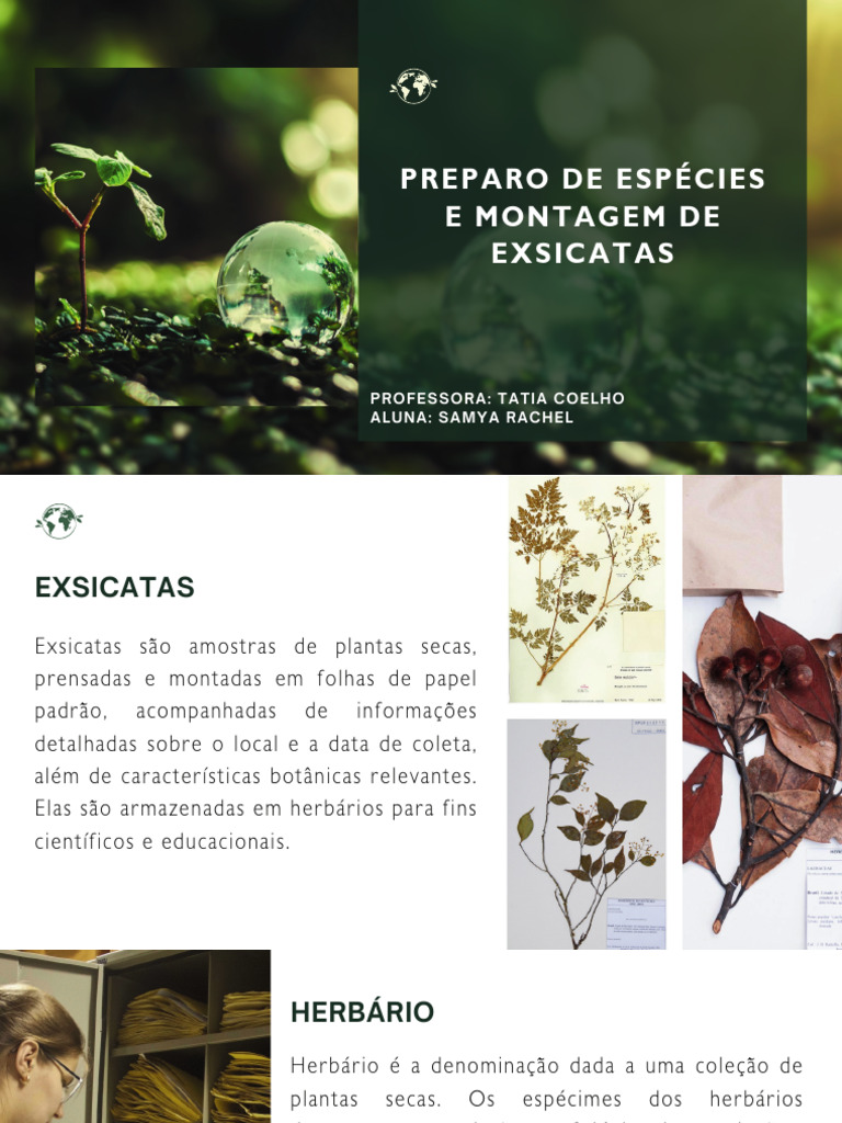 Green Modern Sustainable Development Goals Progress Report Presentation ...