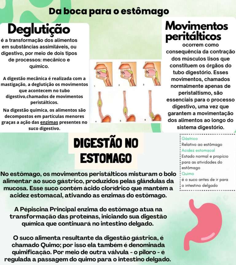 Da Boca para o Estômago | PDF