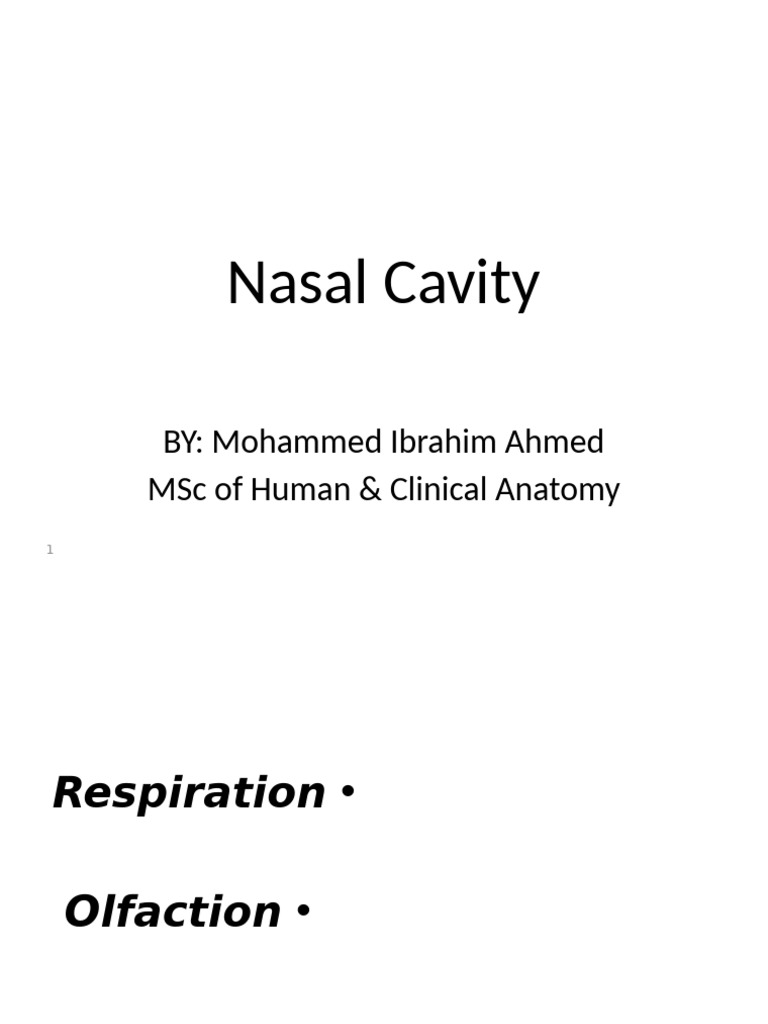 Anatomy and Functions of the Nasal Cavity | PDF | Human Nose ...