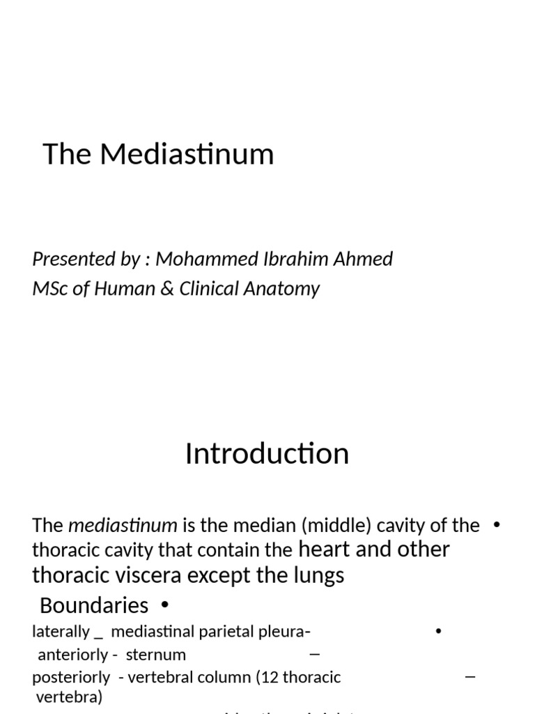 Overview of the Mediastinum Anatomy | PDF
