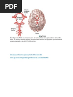 Download El polgono de Willis by Alondra Colorado SN80842228 doc pdf