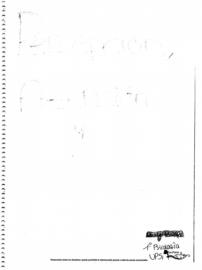 Percepción Atención Y Memoria Pdf