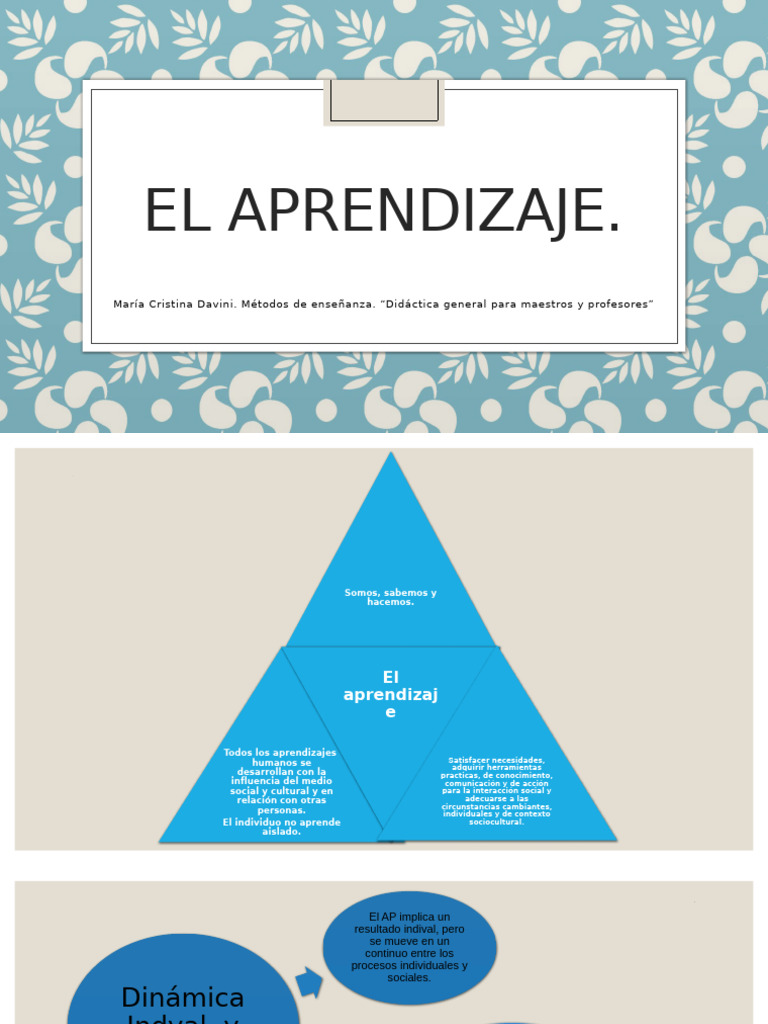 El Aprendizaje - Maria Cristina Davini | PDF | Aprendizaje | Enseñando