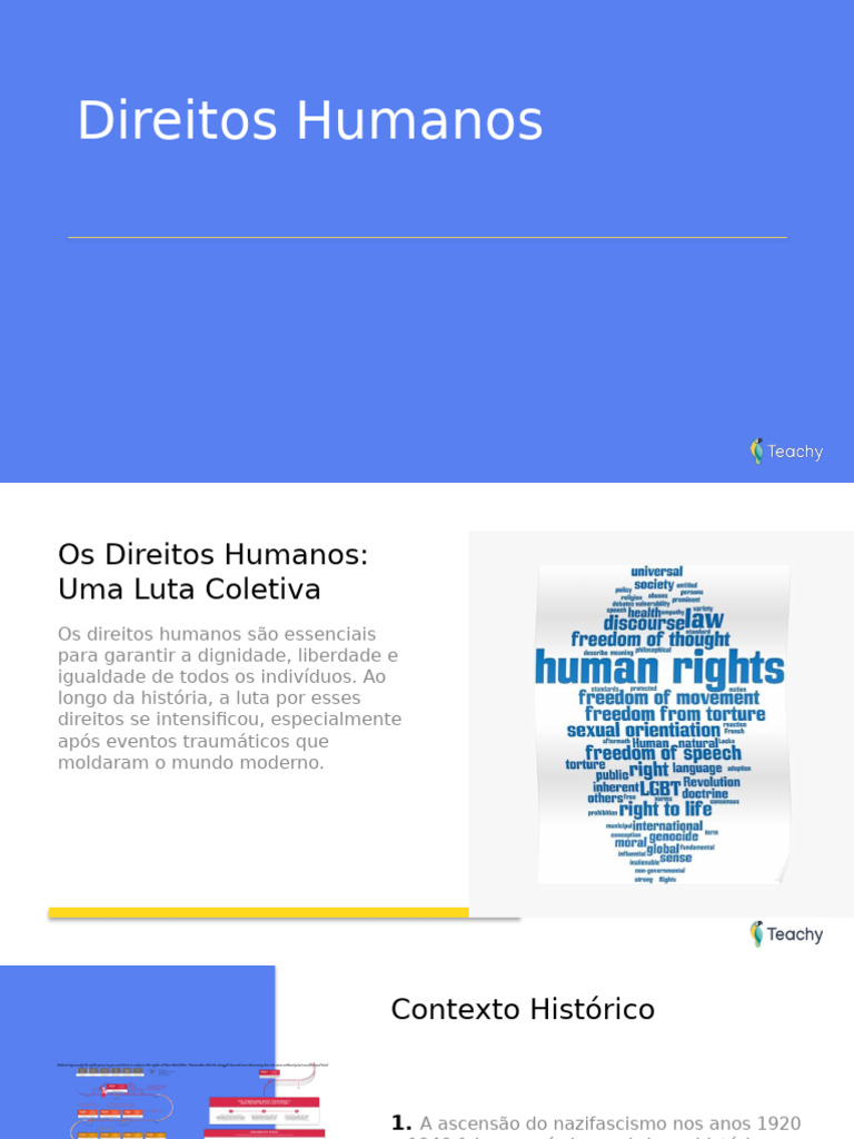 Direitos Humanos: História e Importância | PDF | Direitos Humanos ...