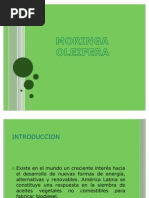 Download Moringa oleifera by angelcazarez03 SN80848303 doc pdf