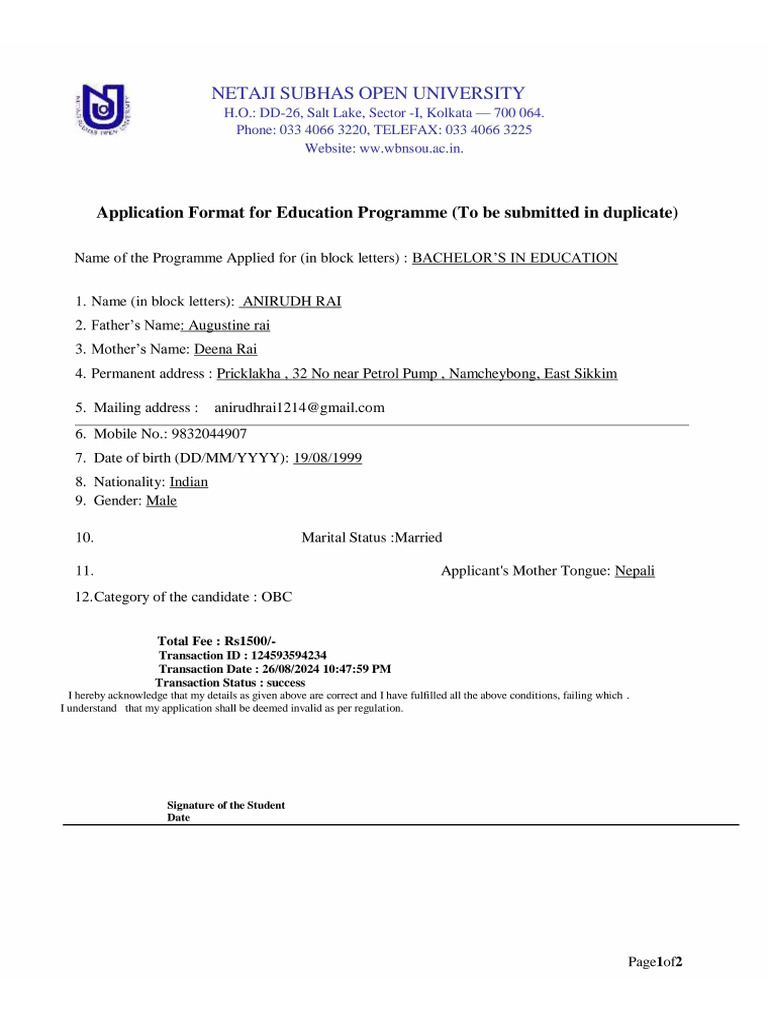 Nsouapplicationform | PDF