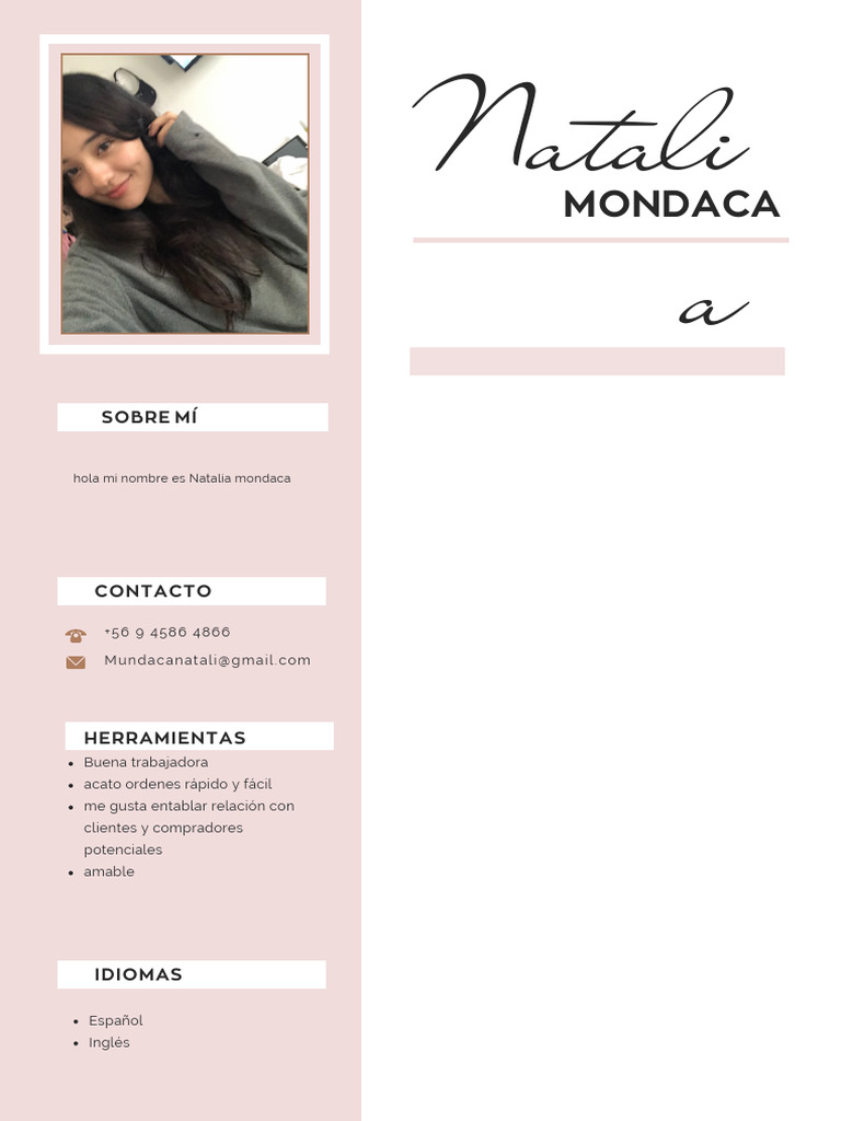 Currículum Vitae CV Diseñadora y Arquitecta Minimalista Rosa PDF | PDF