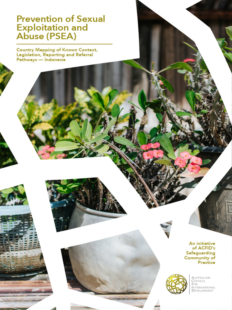 ACFID - PSEA - Country Mapping - Indonesia - 2020 - FA - Web | PDF ...