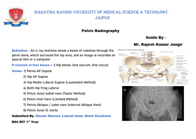 Pelvis Radiography Techniques Guide | PDF