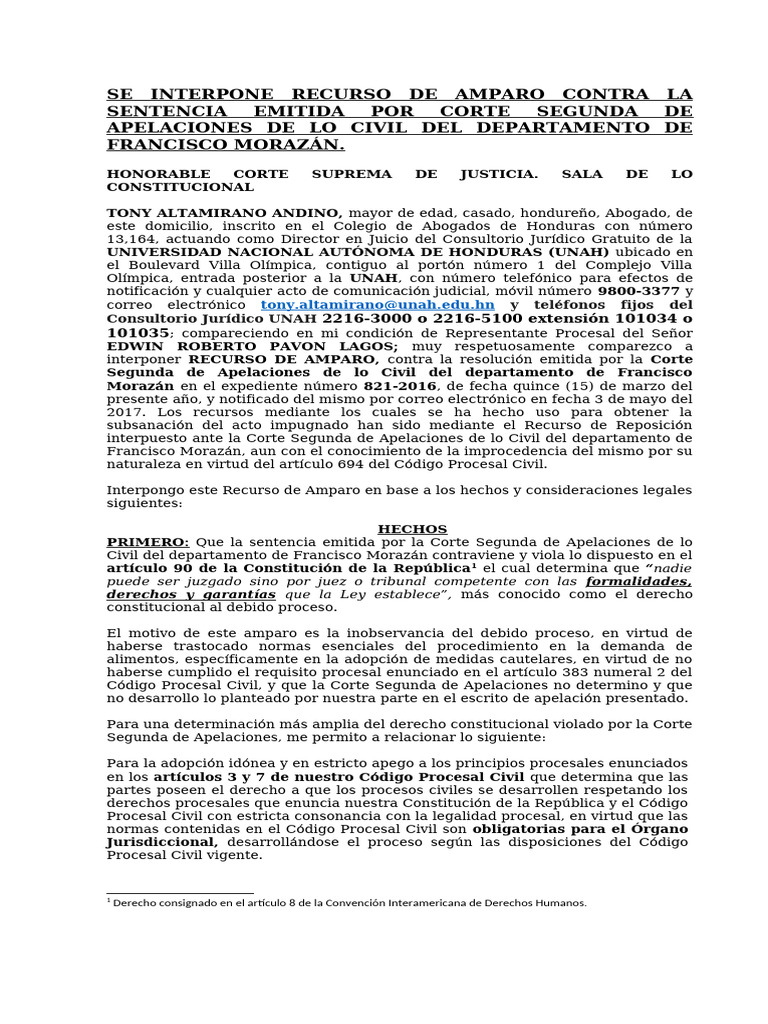Recurso de Amparo por Violación al Debido Proceso | PDF | Mandato ...