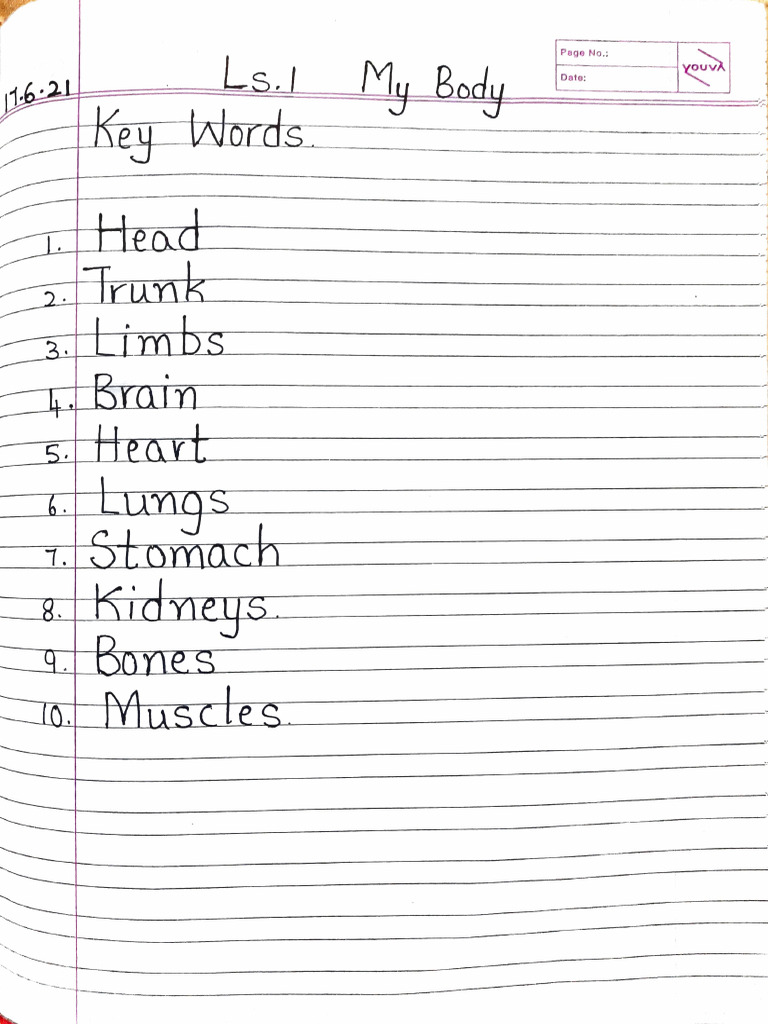 17th June - My Body Notes | PDF