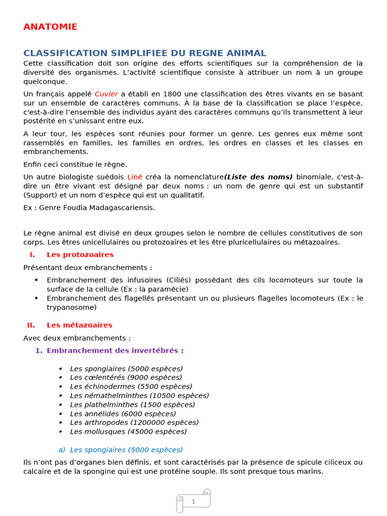 Classification du règne animal | PDF | Amphibiens | Espèces