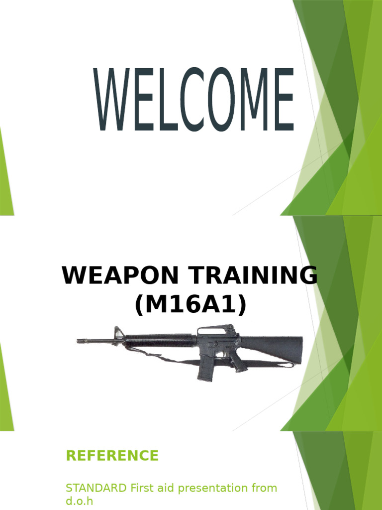M16A1 Rifle Training and Maintenance Guide | PDF | Cartridge (Firearms ...
