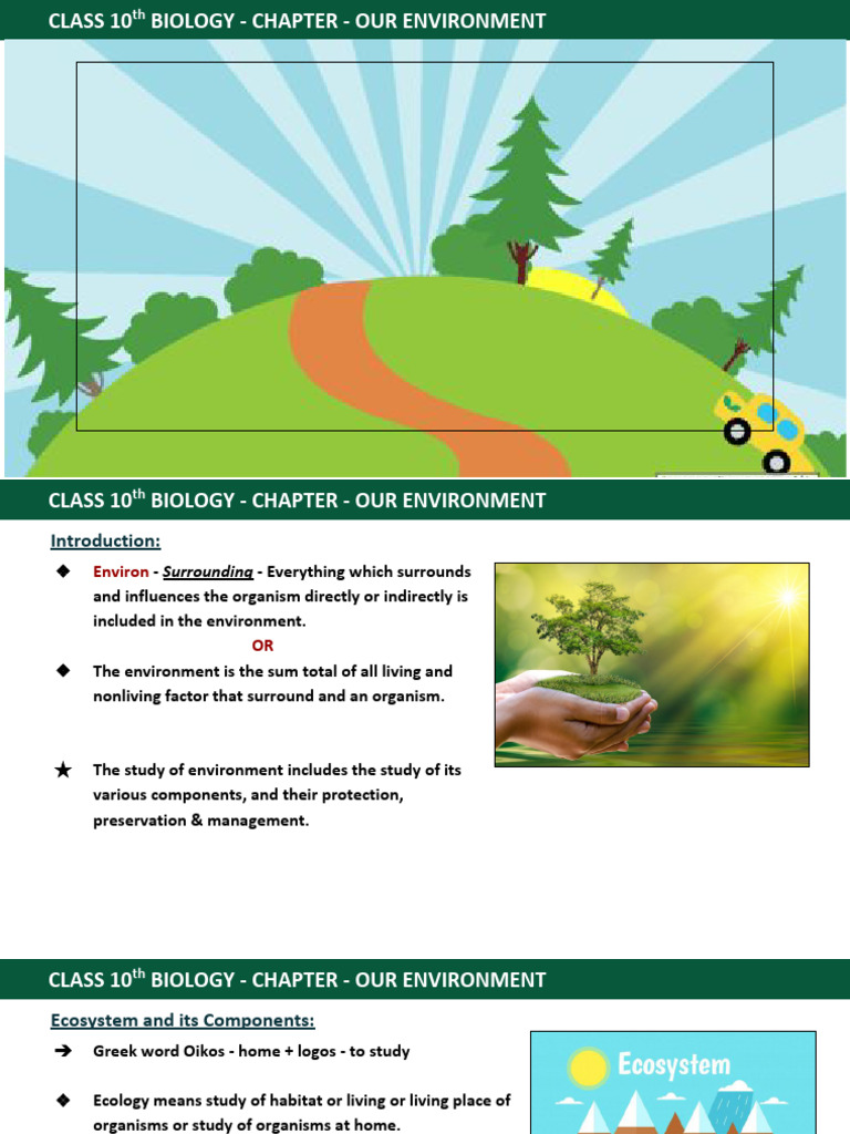 5 Our Environment Pdf Ecosystem Food Web