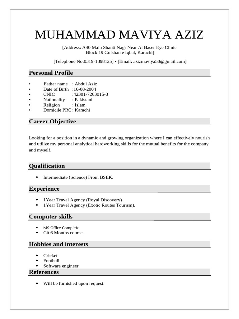 Muhammad Maviya Aziz - Resume Summary | PDF