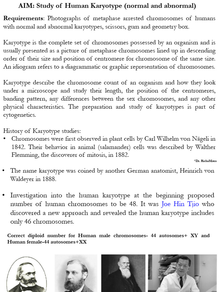 Denver System Karyotype Analysis Guide | PDF | Karyotype | Chromosome