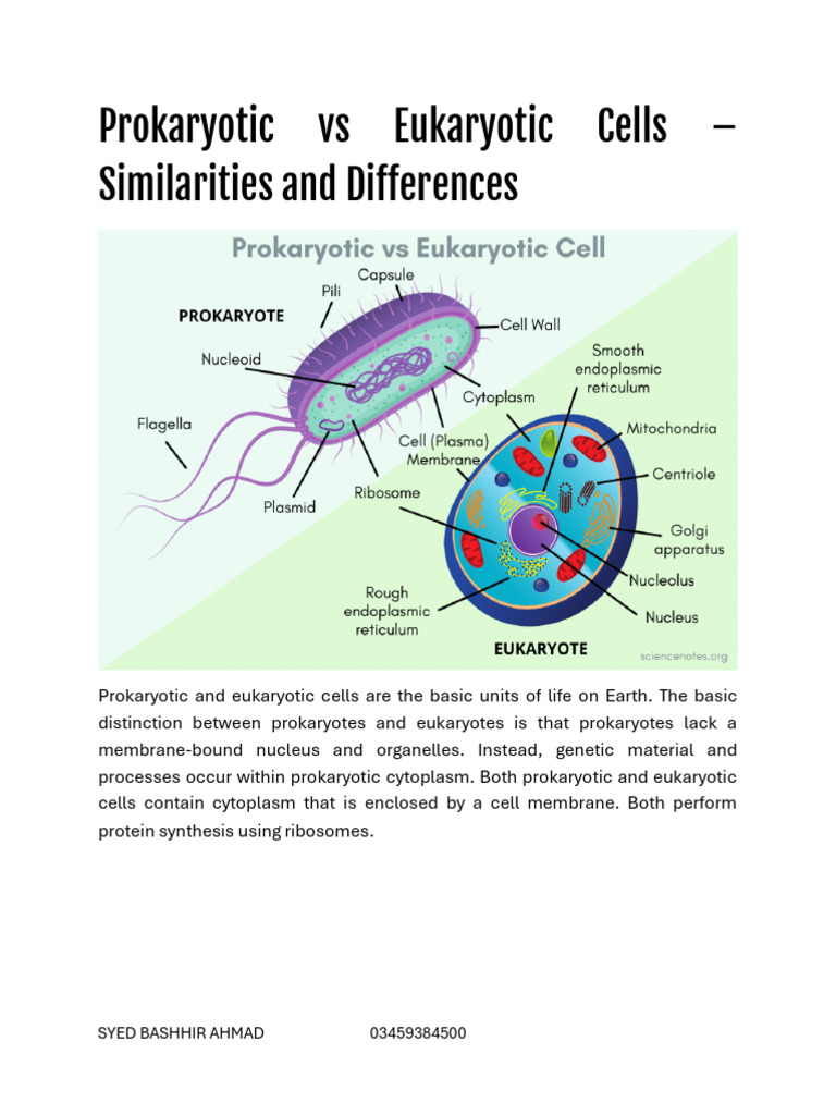 Eukaryotic and Prokaryotic Cells Differnces | PDF | Cell (Biology ...
