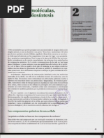 Capítulo 02 - Pequeñas Moléculas, Energía y Biosíntesis