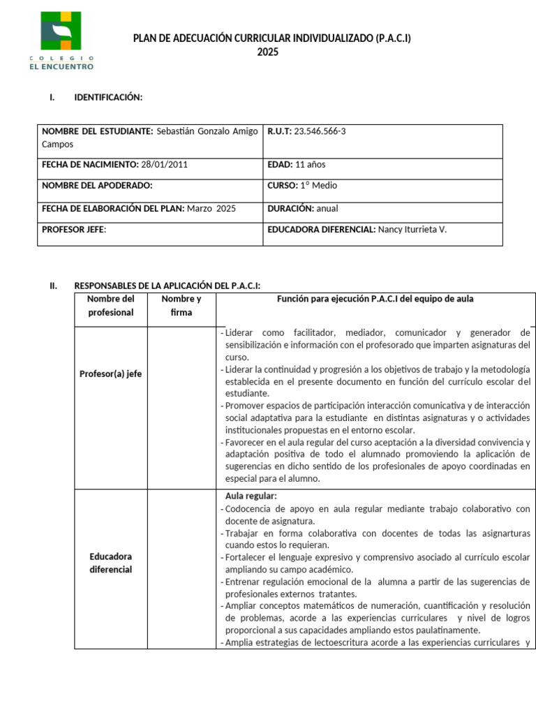 Plan Curricular Individualizado 2025 | PDF | Evaluación | Plan de estudios