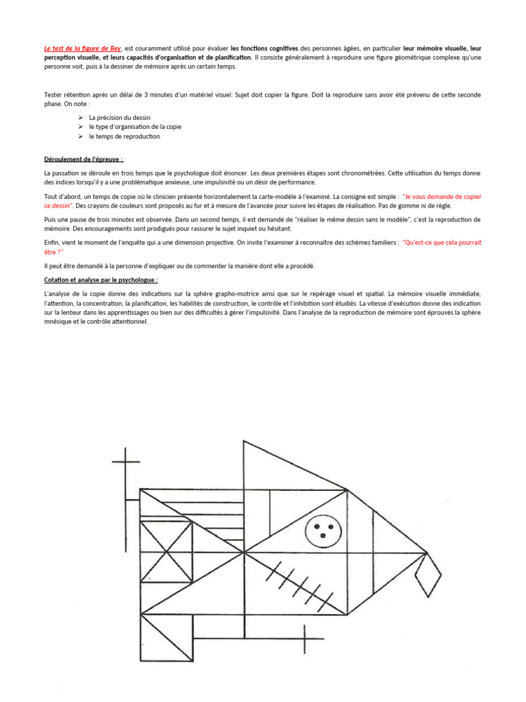 Évaluation cognitive avec la figure de Rey | PDF