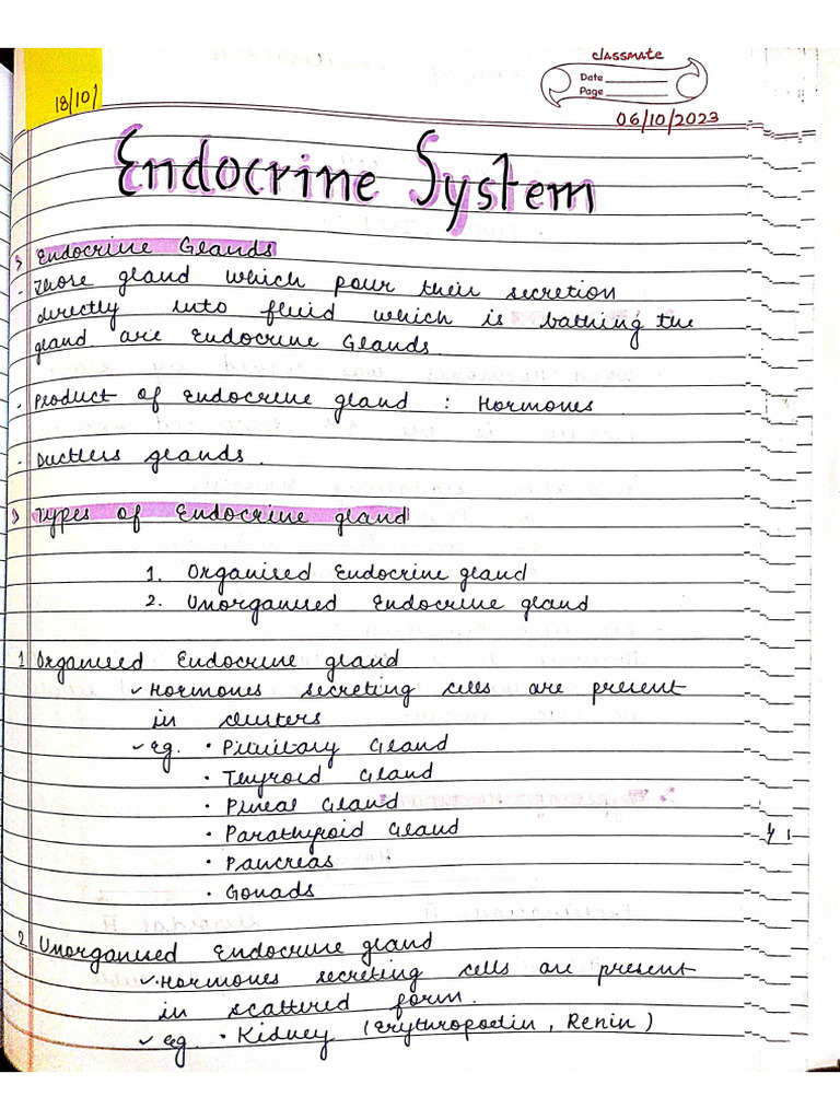 Endocrine System | PDF