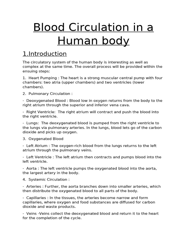 Blood Circulation in A Human Body | PDF