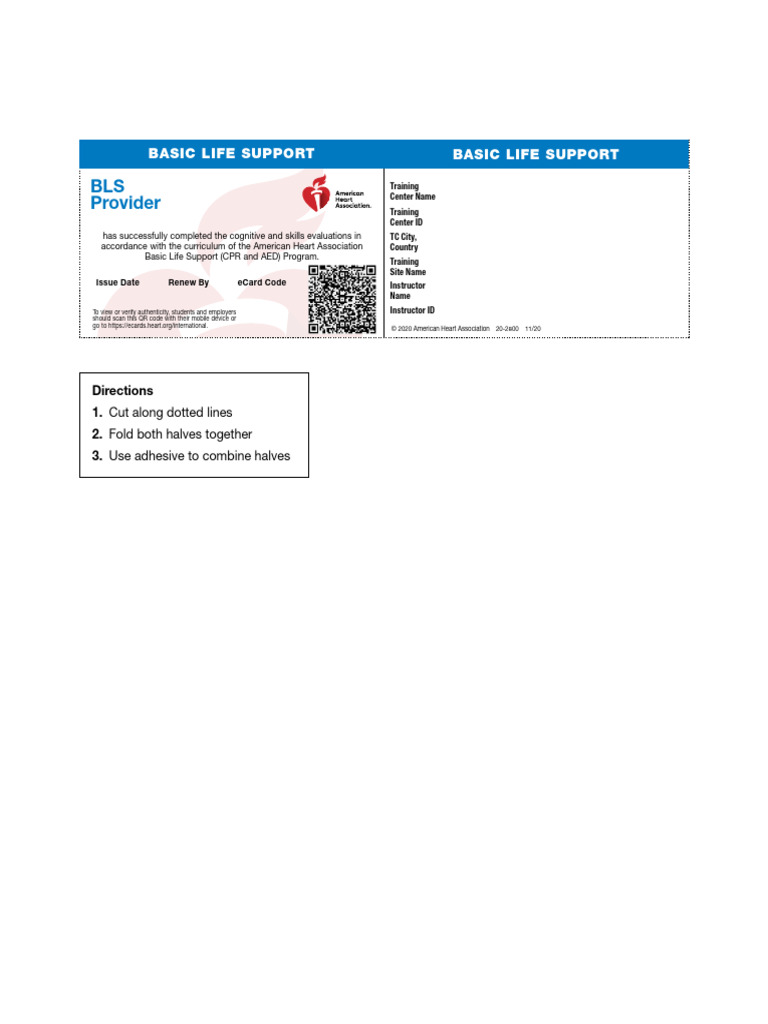 BLS Provider: Basic Life Support Basic Life Support | PDF