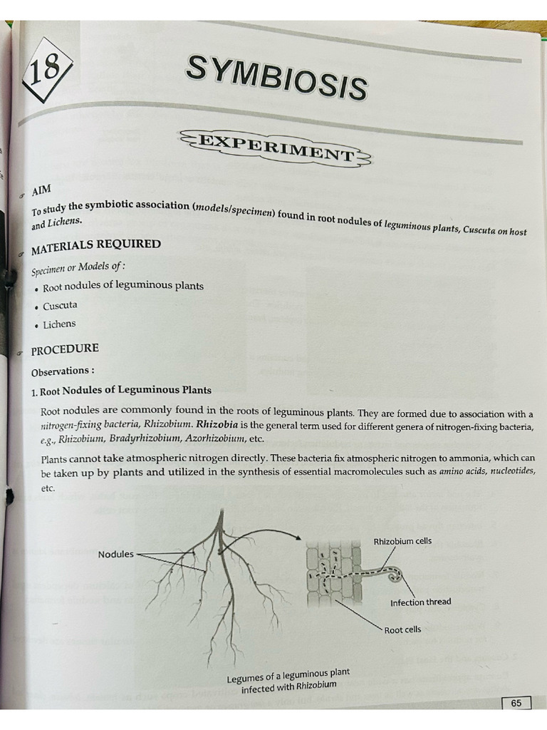 Biology Part-03 | PDF