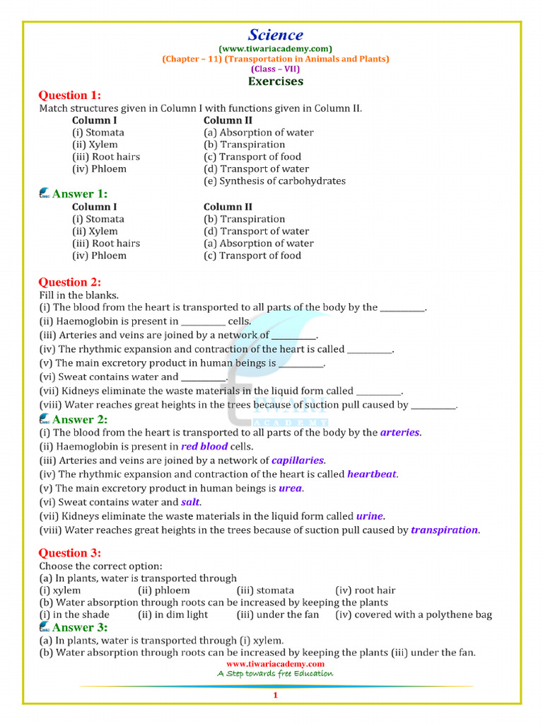 7 Science NCERT Solutions Chapter 11 | PDF