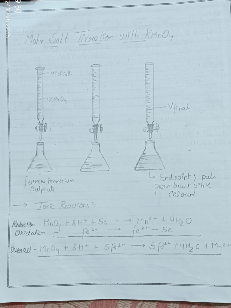 Class 12 Chemistry Practical File (2024-25) | PDF