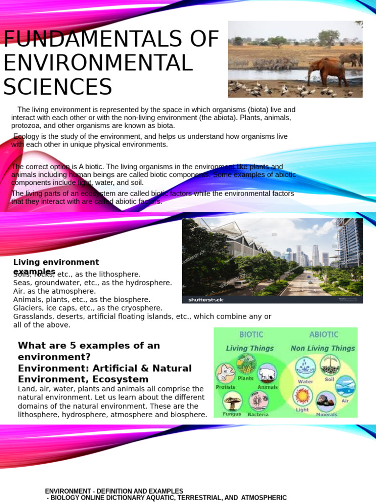 Fundamentals-of-Environmental-Sciences-2nd-slide.1724742552322 | PDF