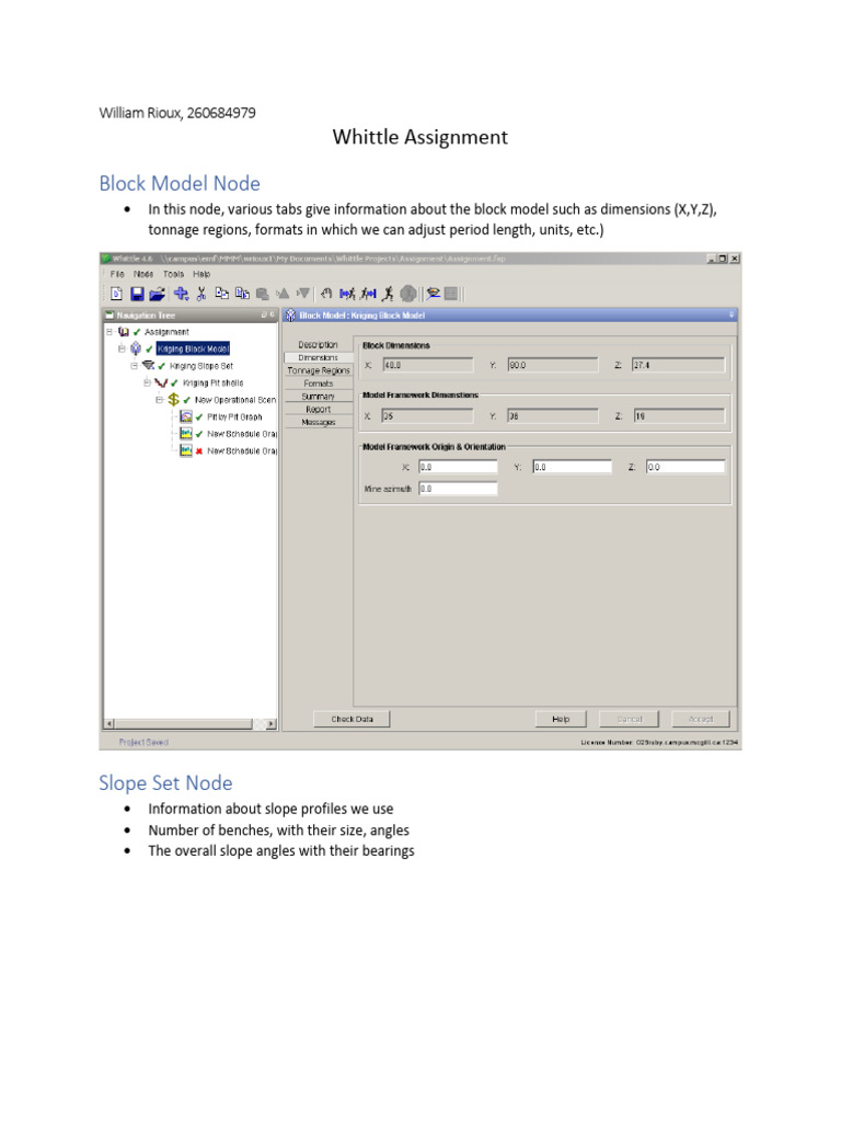Whittle Assignment WR | PDF