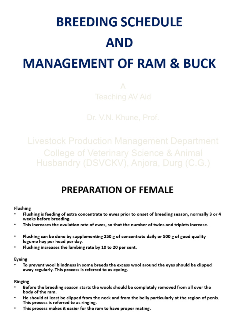 Breeding Management for Rams and Ewes | PDF | Sheep | Sexual Reproduction