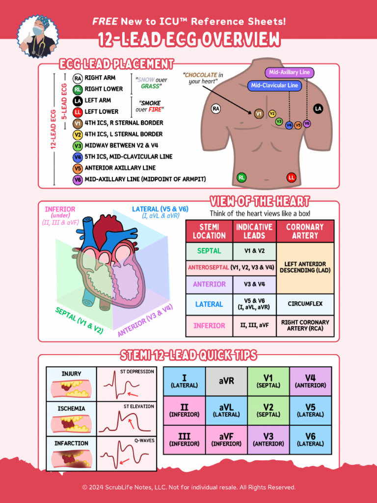ECG Placement | PDF