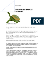 Resumen de La Tortuga Gigante