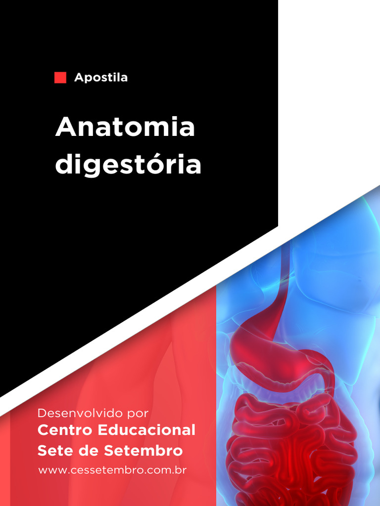 Anatomia Digestoria Pdf Sistema Digestivo Humano Trato